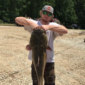 Meet your Posher, Ross